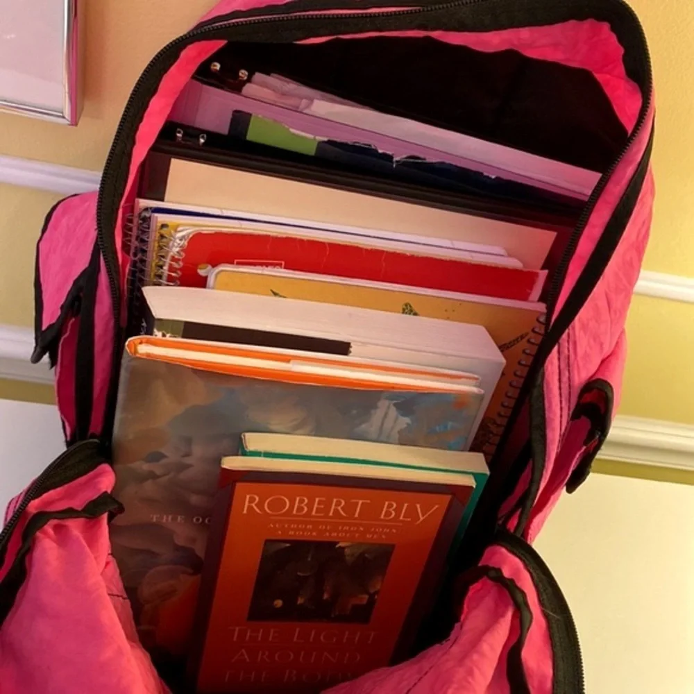 Pink Backpack w/ Black Accent Dual Zippers Holds All Washable Barbiecore Y2K